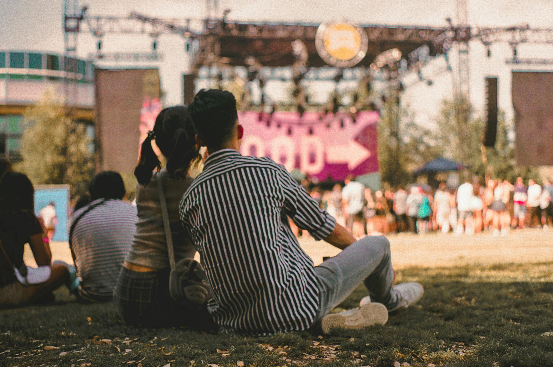 Visit a Festival